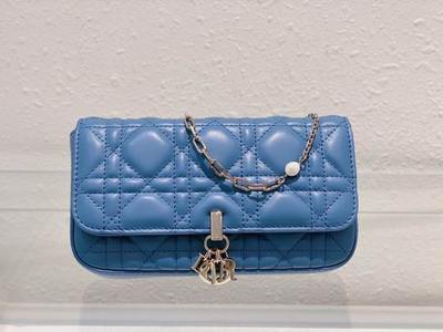 DIOR Handbags 1232